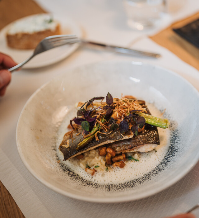 Fisch mit Gemüse schön serviert am Teller