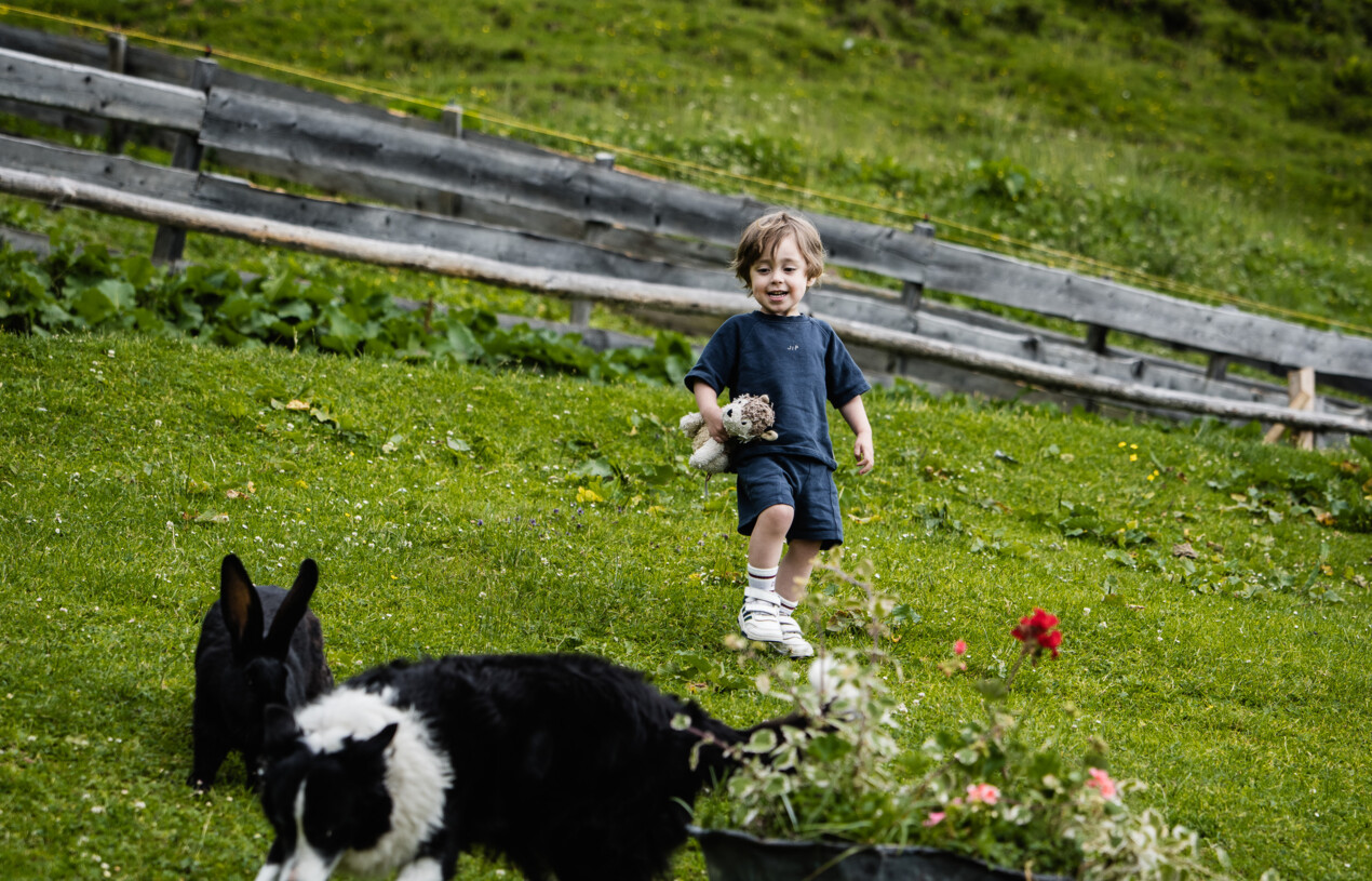 Little boy is looking to a dog 